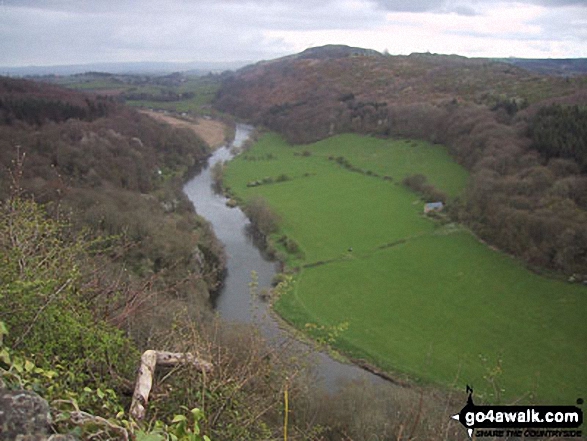 Walk gl119 The River Wye from Symonds Yat - The River Wye and Coppet Hill from Symonds Yat Rock