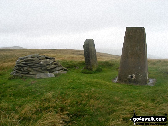 Walk gw108 Foel Goch from Cefn-ddwysarn - Foel Goch (Arenigs) summit cairn, trig point and obelisk