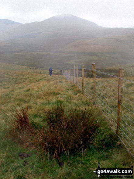 Walk gw108 Foel Goch from Cefn-ddwysarn - Pen y Bwlch Gwyn from Garnedd Fawr