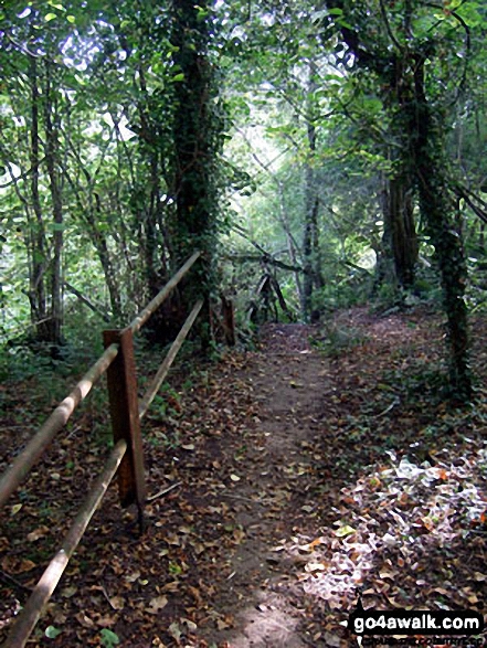 Walk s128 Consall Forge and The Caldon Canal from Cheddleton - Top of the steps down to Consall Forge