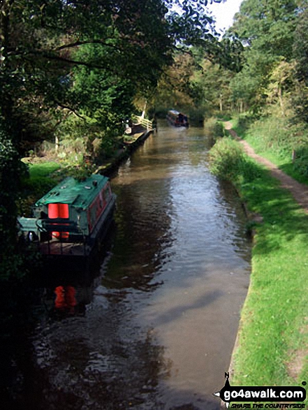 Walk s191 Consall Forge and The Caldon Canal from Froghall Wharf - The Caldon Canal from Basford Bridge, Cheddleton