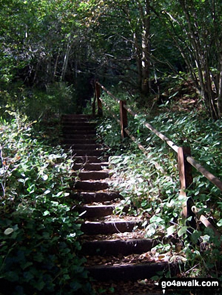 Walk s110 Consall Forge and The Caldon Canal from Ipstones - Bottom of the steps down to Consall Forge from Consall