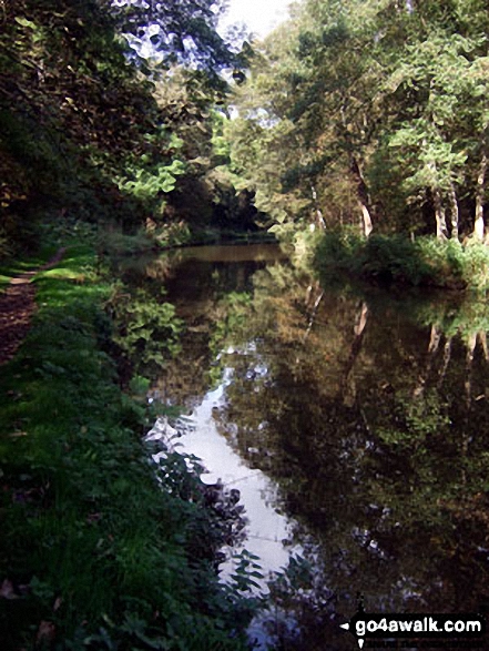 Walk s110 Consall Forge and The Caldon Canal from Ipstones - The Caldon Canal in the Churnet Valley