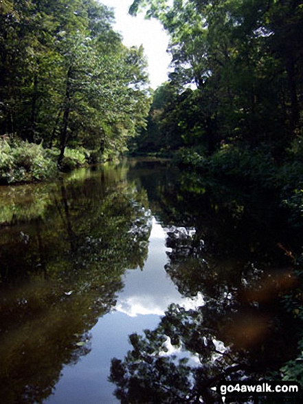 Walk s128 Consall Forge and The Caldon Canal from Cheddleton - The Caldon Canal