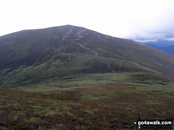 Walk h121 Meall a' Bhuachaille from Glenmore Forest Park Visitors Centre - Approaching Meall a' Bhuachaille