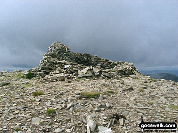 Walk h184 Meall a' Bhuachaille and Craiggowrie from Glenmore Forest Park - The summit of Meall a' Bhuachaille