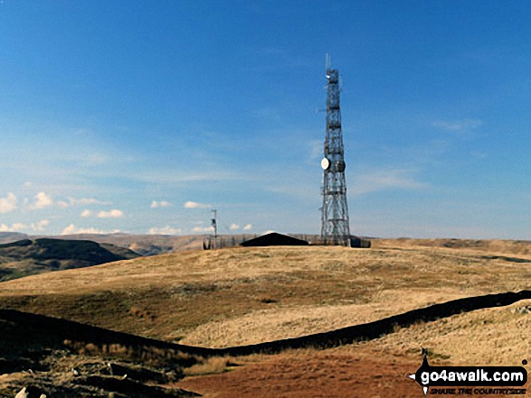 Repeater Station on Grayrigg Forest