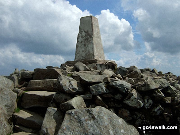 Walk gw137 Cadair Idris (Penygadair), Mynydd Moel, Craig Cwm Amarch and Cyfrwy via The Fox's Path - Cadair Idris (Penygadair) summit trig point