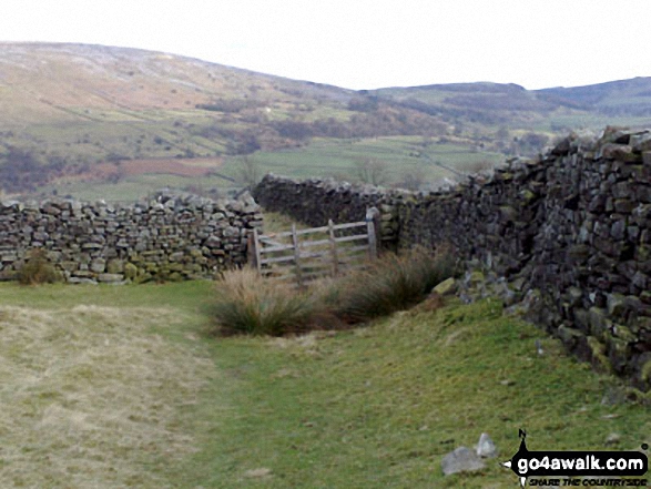 Walk ny140 Fremington Edge and Calver Hill from Reeth - Skelgate Lane