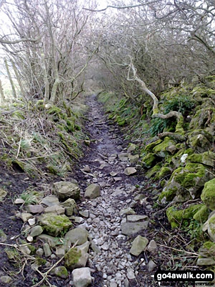 Walk ny140 Fremington Edge and Calver Hill from Reeth - Rock strewn and narrow Skelgate Lane