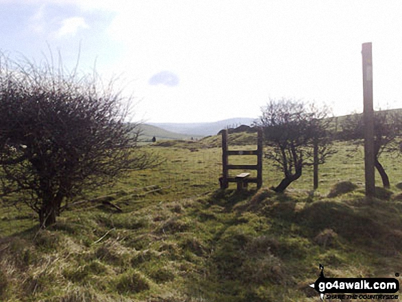  Looking SE from Cessbank Common