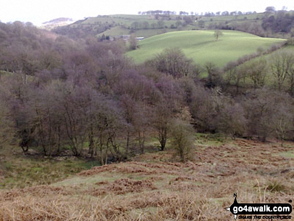 Greasley Hollow from the ruined Mareknowles Farm 