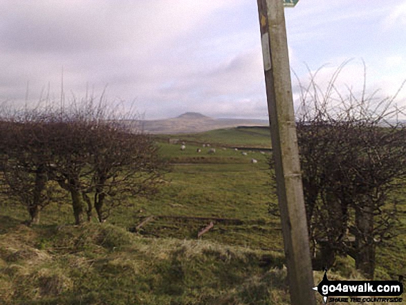  Sshutlingsloe from Cessbank Common 