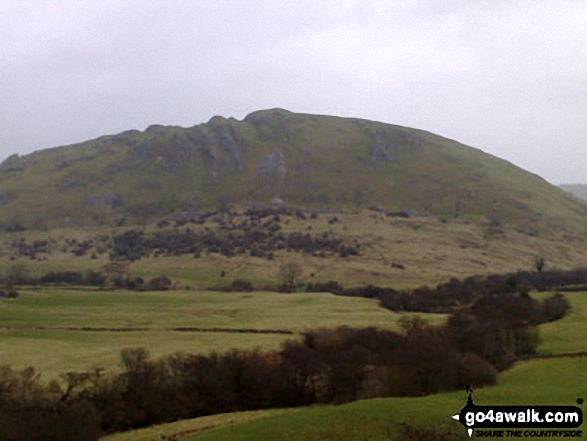 Walk s204 Hollinsclough, Earl Sterndale and Pilsbury Castle Hills from Longnor - Looking North East to Chrome Hill from where the footpath joins the road into Hollinsclough