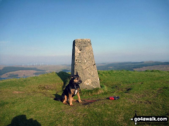 Walk Meikle Bin walking UK Mountains in Central Scotland  Stirlingshire, Scotland