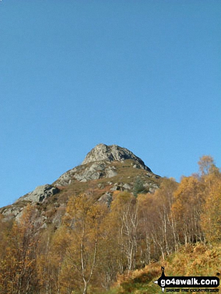 Ben A'an summit just before the final climb