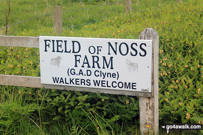 Walk h165 Castle Girnigoe (Castle Sinclair) from Staxigoe near Wick - Sign at the entrance to Field of Noss Farm