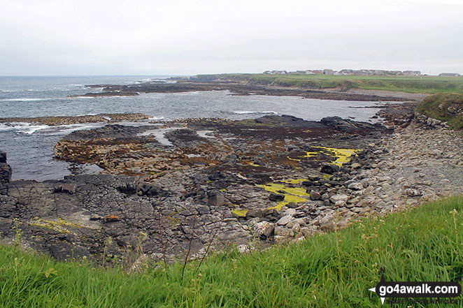 Walk h165 Castle Girnigoe (Castle Sinclair) from Staxigoe near Wick - Views of the Staxigo/Noss Head coastline