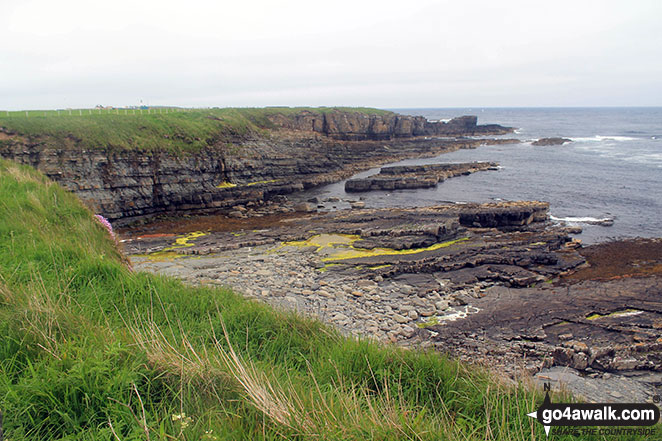 Walk h165 Castle Girnigoe (Castle Sinclair) from Staxigoe near Wick - Views of the Staxigo/Noss Head coastline