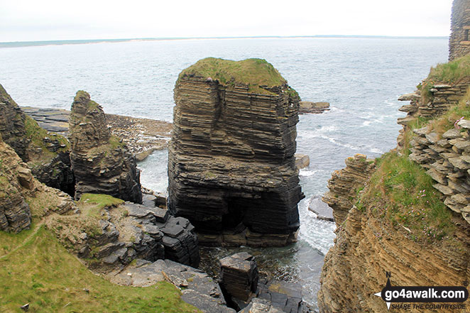 Walk h165 Castle Girnigoe (Castle Sinclair) from Staxigoe near Wick - Sea stack near Castle Sinclair / Castle Girnigoe