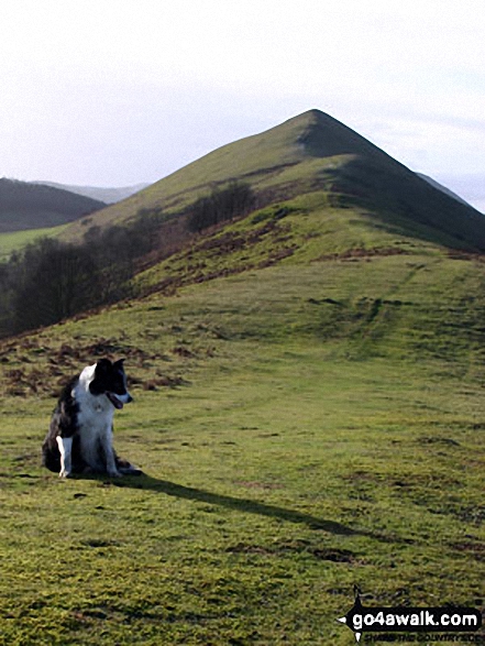 Walk sh134 Caer Caradoc Hill and The Lawley - On the way up The Lawley