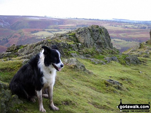 Walk sh134 Caer Caradoc Hill and The Lawley - Looking South from Three Fingers Rock at the south east end of Caer Caradoc Hill