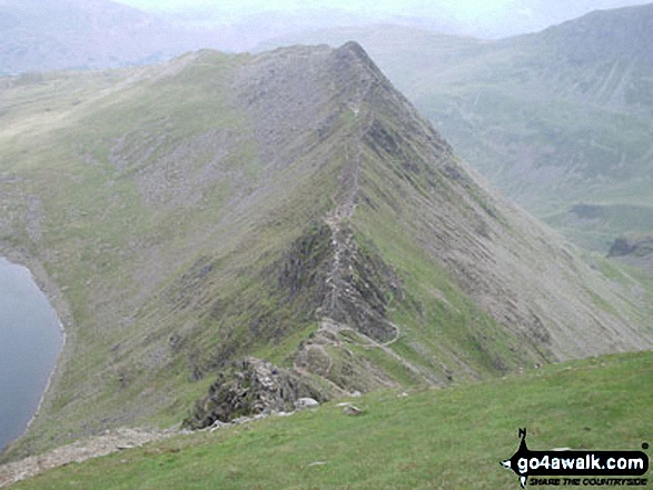 Walk c220 Helvellyn via Striding Edge from Glenridding - Striding Edge from the top of Helvellyn