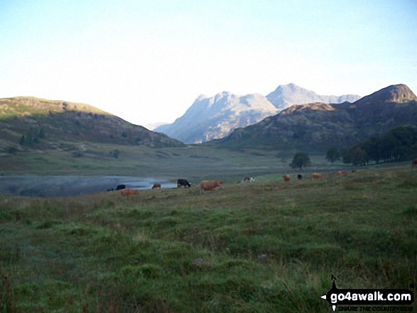 Walk c147 Little Langdale and Great Langdale from Elterwater - Little Langdale Tarn with sunlight on The Langdale Pikes beyond from near Slater Bridge Bridge, Little Langdale