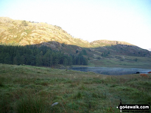 Walk c206 Lingmoor Fell and Little Langdale from Blea Tarn (Langdale) nr Elterwater - Knott Head above Little Langdale Tarn from near Slater Bridge Bridge, Little Langdale