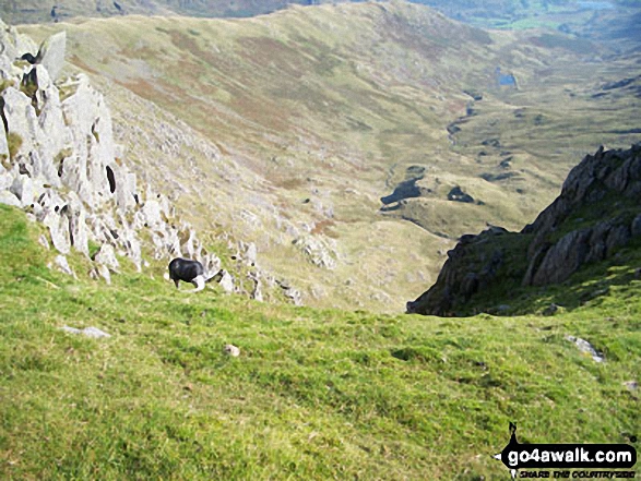 Walk c179 The Seathwaite Round from Seathwaite, Duddon Valley - Wet Side Edge and Greenburn from Swirl How