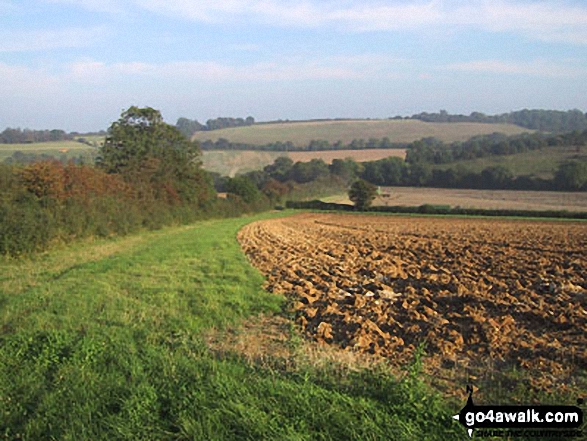 Walk k118 Bodsham from Hastingleigh - Fields near Bodsham