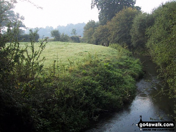 River Eden 