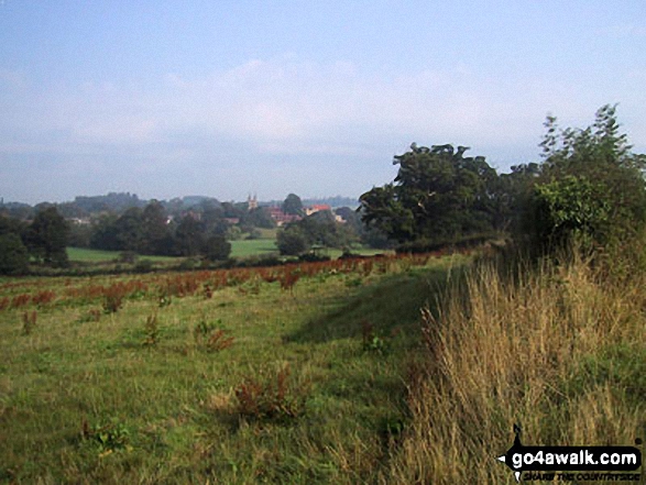 Walk k156 Smarts Hill from Penshurst - Fields near Penshurst