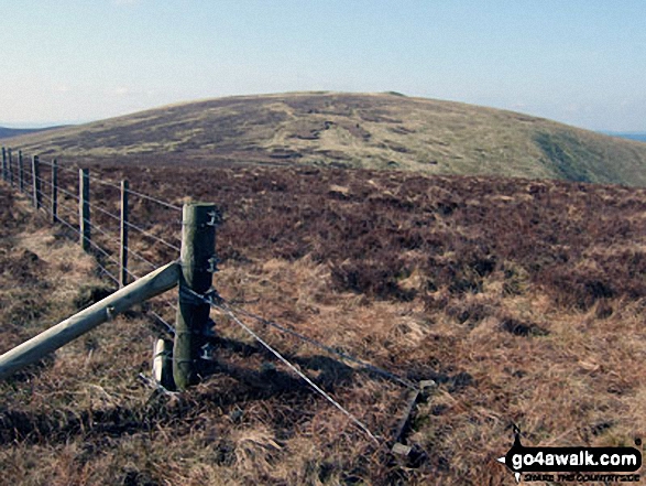 Walk bo121 Wisp Hill (Teviothead) and Pikehaw Hill from Mosspaul Hotel - Pikethaw Hill from Frodaw Height