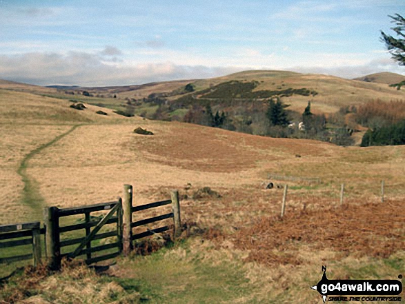 Walk n146 Wooler Common and Happy Valley (Low Level Route) from Wooler - The St Cuthbert's Way heading towards Wooler Common with Coldberry Hill (centre right) and Humbleton Hill (far right)