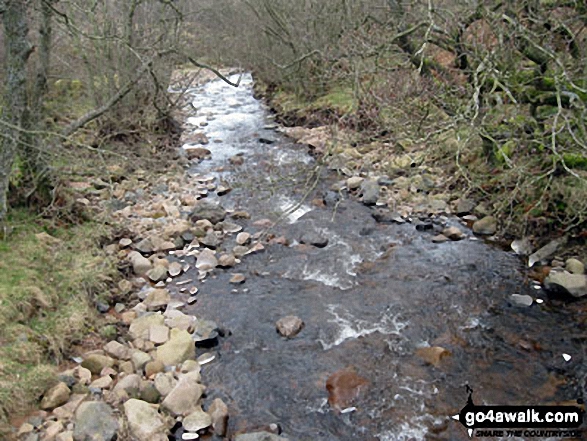 Walk n146 Wooler Common and Happy Valley (Low Level Route) from Wooler - Harthope Burn near Careyburn Bridge