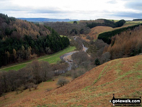 Walk n107 Wooler Common and Happy Valley (High Level Route) from Wooler - Happy Valley from The High Level Route above Colgate Water