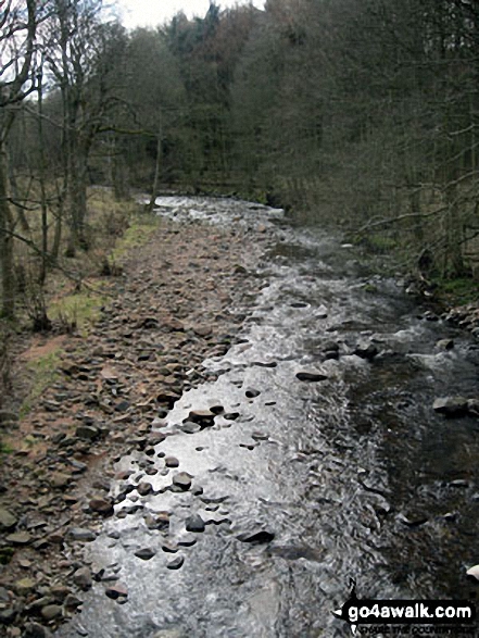 Walk n146 Wooler Common and Happy Valley (Low Level Route) from Wooler - Coldgate Water at Colgate Mill