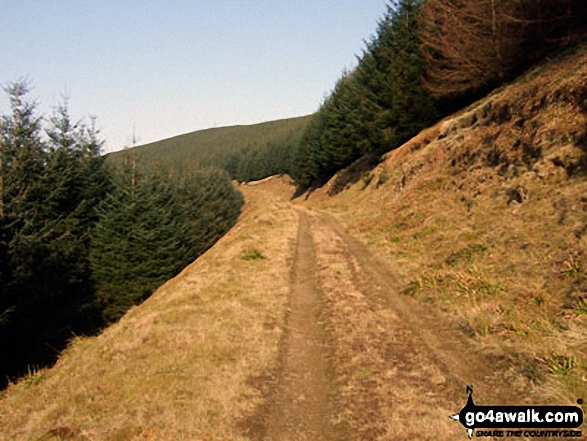 Walk bo144 Wisp Hill (Teviothead) and Glenrief Rig from Mosspaul Hotel - Climbing Bught Knowe on the way to Glenrief Rig