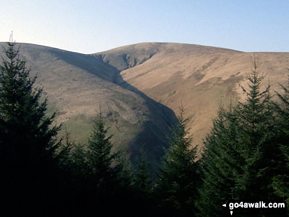 Walk bo121 Wisp Hill (Teviothead) and Pikehaw Hill from Mosspaul Hotel - Pikethaw Hill, Ewes Doors, Ewestees Burn and Ewenshop Fell from Bught Knowe on the way to Glenrief Rig