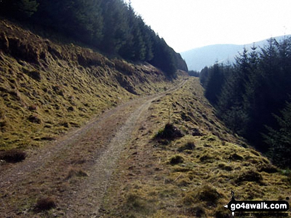 Walk bo133 Glenrief Rigg and Ellson Fell from Mosspaul Hotel - Bught Knowe on the way to Glenrief Rig