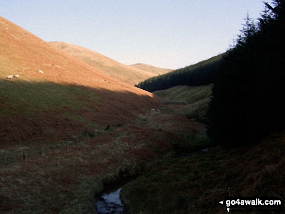 Walk bo121 Wisp Hill (Teviothead) and Pikehaw Hill from Mosspaul Hotel - Mosspaul Burn from The Mosspaul Hotel