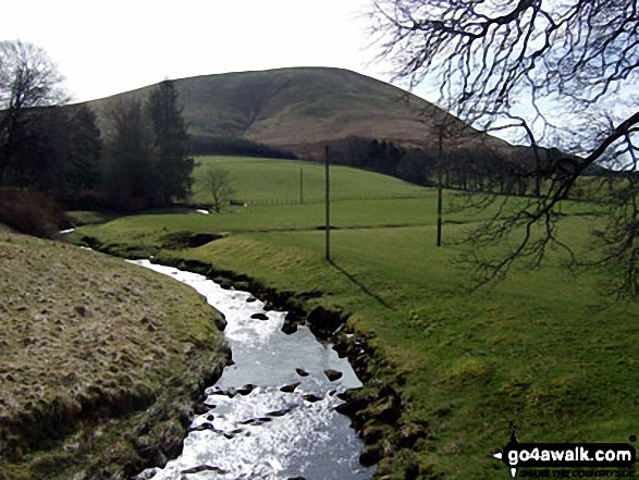 Walk bo114 Lightning Hill, Wether Law (Teviothead), Tudhope Hill and Dod Hill from Linhope Farm - Dod Hill (Teviothead) and Linhope Burn from Linhope Farm<br>on the A7 between Carlisle and Hawick