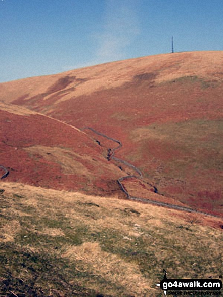 Comb Hill (Langhope Height) from Wisp Hill (Teviothead)