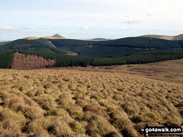 Walk bo114 Lightning Hill, Wether Law (Teviothead), Tudhope Hill and Dod Hill from Linhope Farm - Skelfhill Pen from Lightning Hill