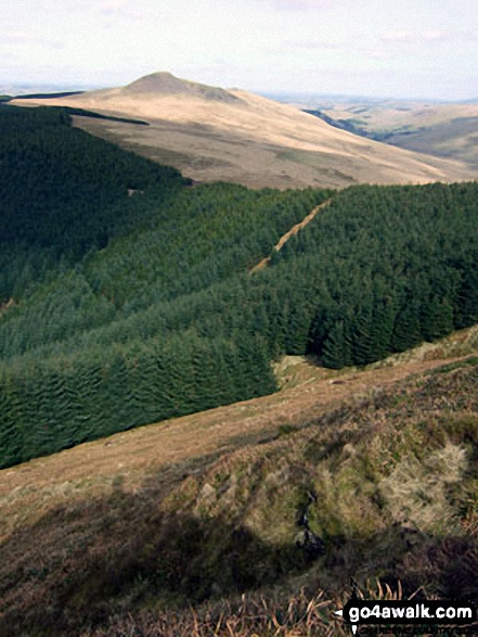 Walk bo114 Lightning Hill, Wether Law (Teviothead), Tudhope Hill and Dod Hill from Linhope Farm - Skelfhill Pen from Crummiecleuch Rig