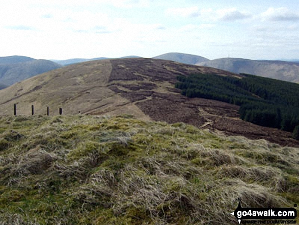 Walk bo107 Lightning Hill, Wether Law (Teviothead) and Tudhope Hill from Linhope Farm - Tudhope Hill from Millstone Edge (Tudhope Hill)