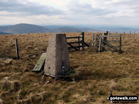 Walk bo107 Lightning Hill, Wether Law (Teviothead) and Tudhope Hill from Linhope Farm - Tudhope Hill summit trig point