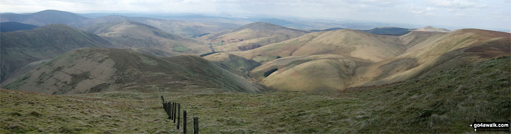 Wisp Hill (Teviothead), Dod Hill (Teviothead), Little Tudhope Hill, Comb Hill (Langhope Height), Lightning Hill, Wether Law (Teviothead) and Skelfhill Pen from Tudhope Hill summit