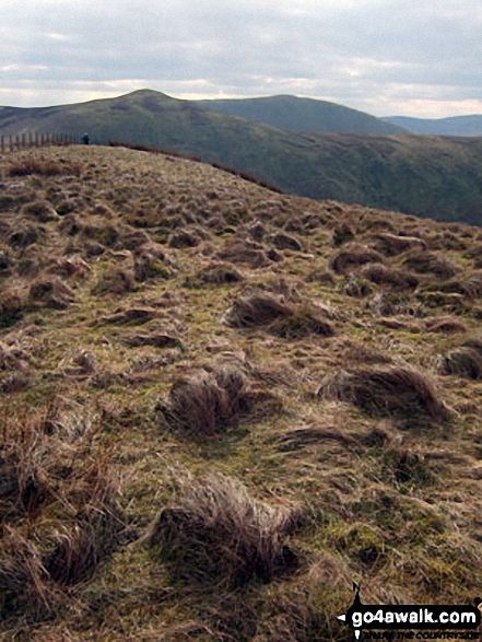 Carlin Tooth (Teviothead) and Wisp Hill from Little Tudhope Hill summit